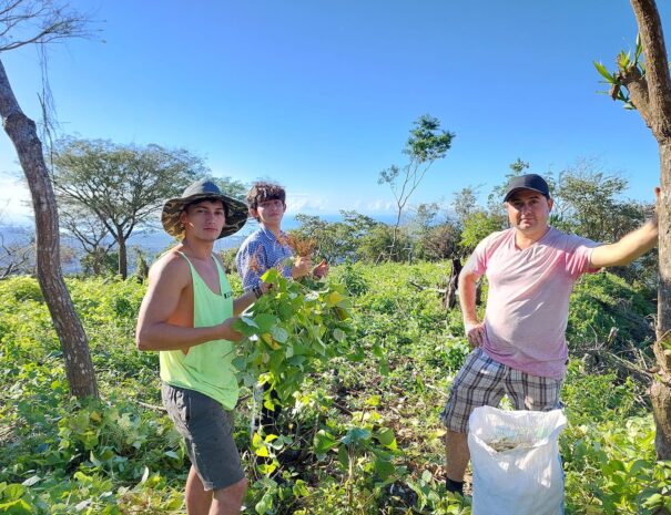 Equipo de Trabajo Sabor de la Montana