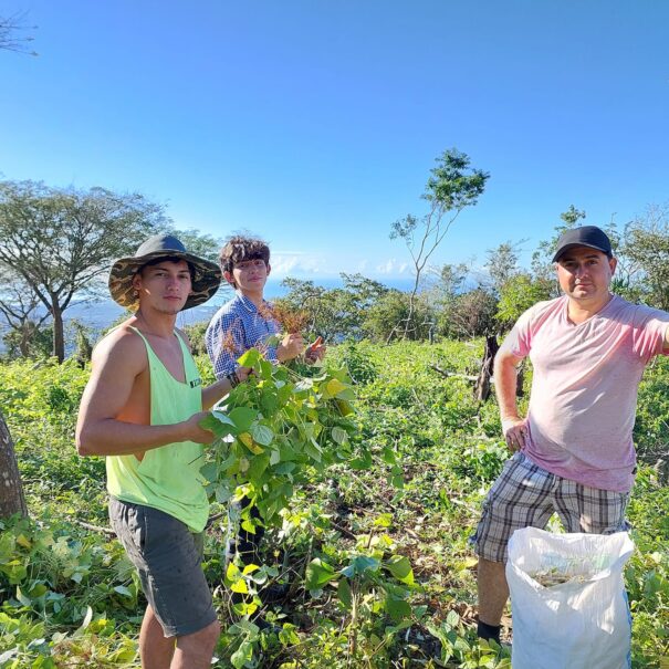 Equipo de Trabajo Sabor de la Montana