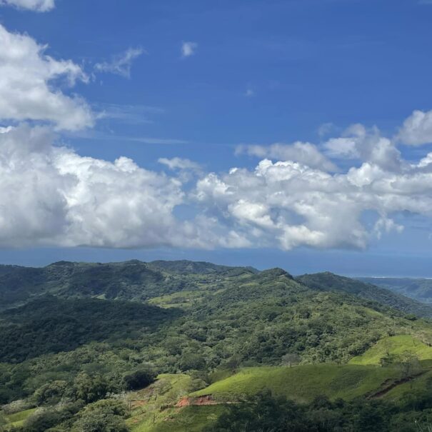 Sabor de la Montaña